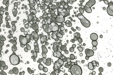 Alkol mürekkebi ve suluboya içeren soyut sanat eserleri. Modern sanat. İç resim