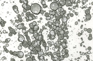 Alkol mürekkebi ve suluboya içeren soyut sanat eserleri. Modern sanat. İç resim