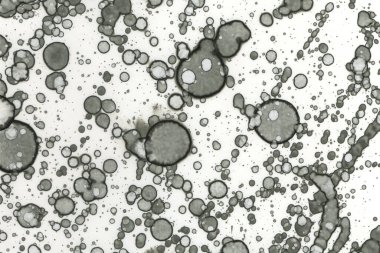 Alkol mürekkebi ve suluboya içeren soyut sanat eserleri. Modern sanat. İç resim