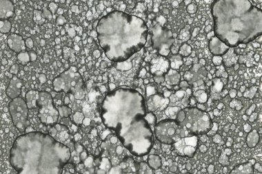 Alkol mürekkebi ve suluboya içeren soyut sanat eserleri. Modern sanat. İç resim