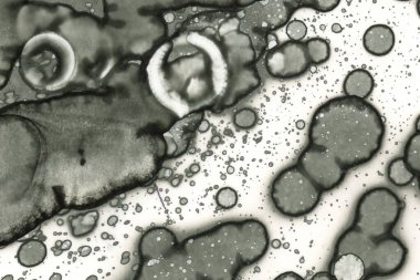 Alkol mürekkebi ve suluboya içeren soyut sanat eserleri. Modern sanat. İç resim