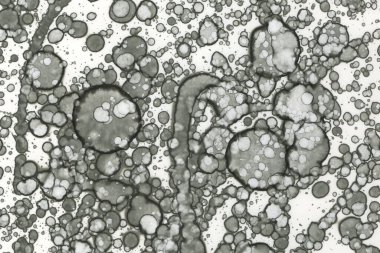 Alkol mürekkebi ve suluboya içeren soyut sanat eserleri. Modern sanat. İç resim