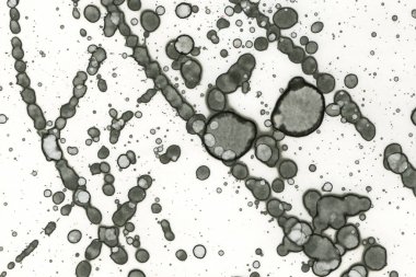 Alkol mürekkebi ve suluboya içeren soyut sanat eserleri. Modern sanat. İç resim