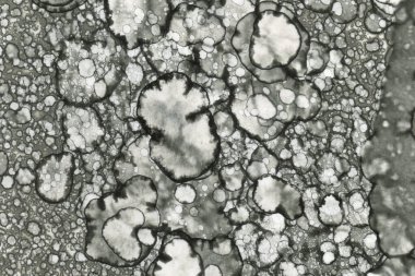 Alkol mürekkebi ve suluboya içeren soyut sanat eserleri. Modern sanat. İç resim