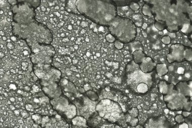 Alkol mürekkebi ve suluboya içeren soyut sanat eserleri. Modern sanat. İç resim