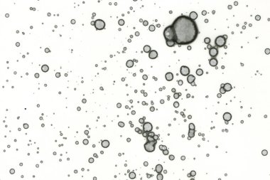 Alkol mürekkebi ve suluboya içeren soyut sanat eserleri. Modern sanat. İç resim