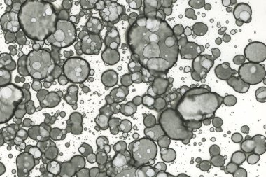 Alkol mürekkebi ve suluboya içeren soyut sanat eserleri. Modern sanat. İç resim