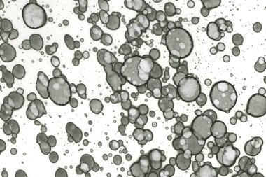 Alkol mürekkebi ve suluboya içeren soyut sanat eserleri. Modern sanat. İç resim