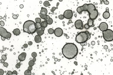 Alkol mürekkebi ve suluboya içeren soyut sanat eserleri. Modern sanat. İç resim