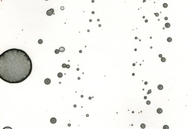 Alkol mürekkebi ve suluboya içeren soyut sanat eserleri. Modern sanat. İç resim