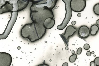 Alkol mürekkebi ve suluboya içeren soyut sanat eserleri. Modern sanat. İç resim