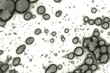 Alkol mürekkebi ve suluboya içeren soyut sanat eserleri. Modern sanat. İç resim