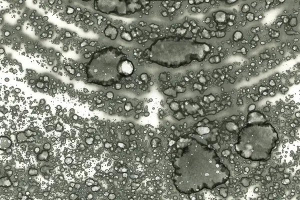 Alkol mürekkebi ve suluboya içeren soyut sanat eserleri. Modern sanat. İç resim