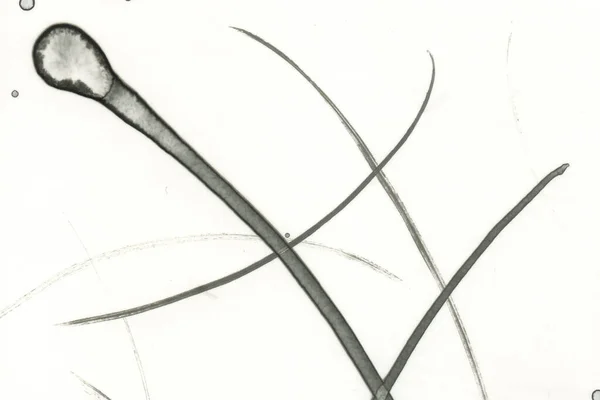 Абстрактне Мистецтво Чорнилом Аквареллю Сучасне Мистецтво Картина Інтер Єру — стокове фото