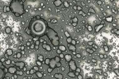 Alkol mürekkebi ve suluboya içeren soyut sanat eserleri. Modern sanat. İç resim