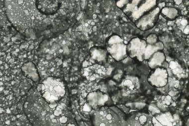 Alkol mürekkebi ve suluboya içeren soyut sanat eserleri. Modern sanat. İç resim