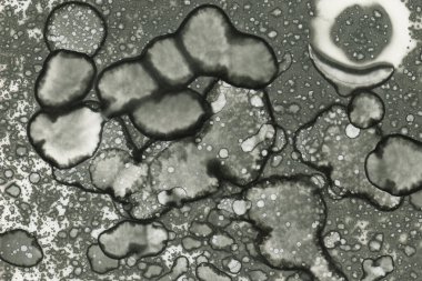 Alkol mürekkebi ve suluboya içeren soyut sanat eserleri. Modern sanat. İç resim