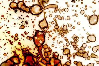 Alkol mürekkebi ve suluboya içeren soyut sanat eserleri. Modern sanat. İç resim