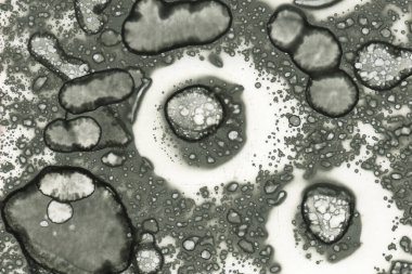 Alkol mürekkebi ve suluboya içeren soyut sanat eserleri. Modern sanat. İç resim