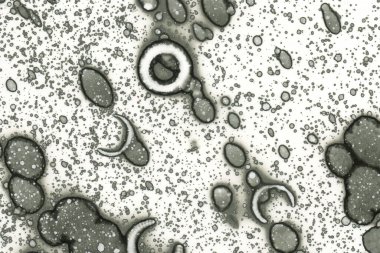 Alkol mürekkebi ve suluboya içeren soyut sanat eserleri. Modern sanat. İç resim