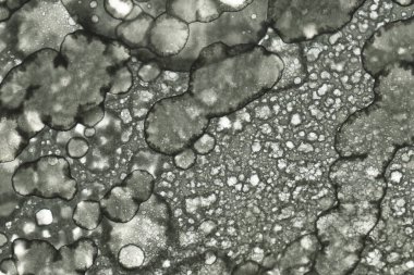 Alkol mürekkebi ve suluboya içeren soyut sanat eserleri. Modern sanat. İç resim