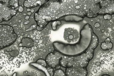 Alkol mürekkebi ve suluboya içeren soyut sanat eserleri. Modern sanat. İç resim