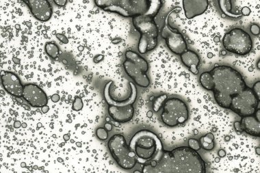 Alkol mürekkebi ve suluboya içeren soyut sanat eserleri. Modern sanat. İç resim