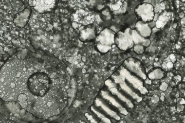 Alkol mürekkebi ve suluboya içeren soyut sanat eserleri. Modern sanat. İç resim