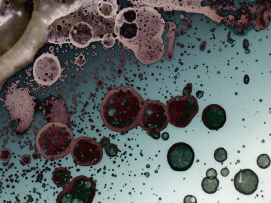 Yazarın sanatsal soyutlamaları. Suluboya ve alkol mürekkebi. Modern sanat. Fotoşopta İşlendi