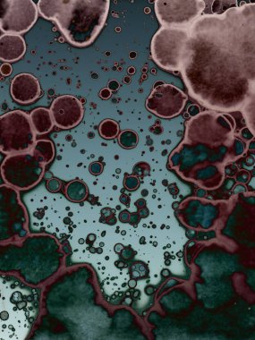 Yazarın sanatsal soyutlamaları. Suluboya ve alkol mürekkebi. Modern sanat. Fotoşopta İşlendi