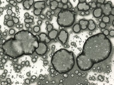 Yazarın sanatsal soyutlamaları. Suluboya ve alkol mürekkebi. Modern sanat. Fotoşopta İşlendi