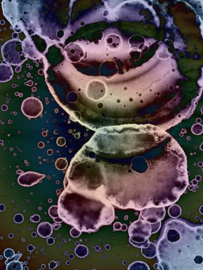 Yazarın sanatsal soyutlamaları. Suluboya ve alkol mürekkebi. Modern sanat. Fotoşopta İşlendi