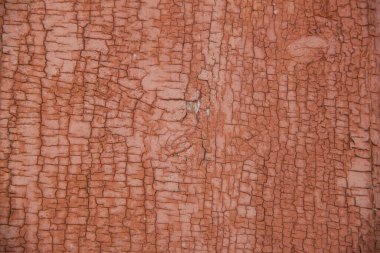 Eski ahşap doku. Doğal ahşap fotoğrafı. Kaba ahşap doku.