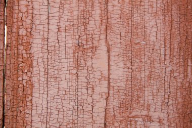 Eski ahşap doku. Doğal ahşap fotoğrafı. Kaba ahşap doku.