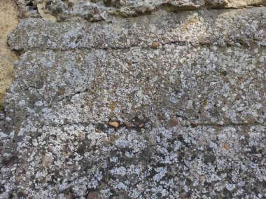 Doğal taş dokusu. Doğal taşın doğal dokusu.
