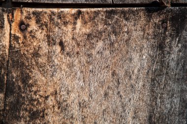 Eski ahşap doku. Doğal ahşap fotoğrafı. Kaba ahşap doku.