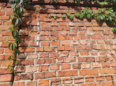 Eski tuğla dokusu. Tasarım için kuru sıkı. Çatlak tuğla.