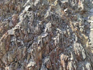 Coğrafi doku fotoğrafı. Toprak ve taşın doğal dokusu. dizayn boş