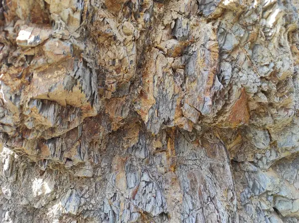 Coğrafi doku fotoğrafı. Toprak ve taşın doğal dokusu. dizayn boş