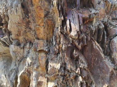 Coğrafi doku fotoğrafı. Toprak ve taşın doğal dokusu. dizayn boş