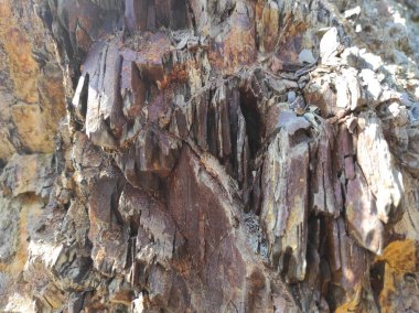 Coğrafi doku fotoğrafı. Toprak ve taşın doğal dokusu. dizayn boş