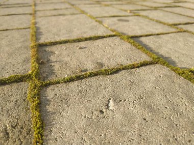 Çakıl taşı dokusu. Kapıda gri kaldırım taşları var. Tasarım boş