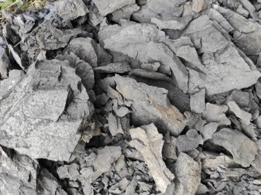 Coğrafi doku fotoğrafı. Toprak ve taşın doğal dokusu. dizayn boş