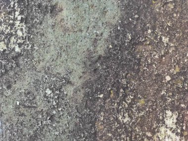 Gri beton doku. Gri doku arkaplanı ve boş