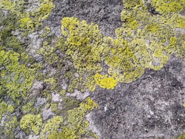 Doğal taş dokusunun fotoğrafı. Duvarın dokusu doğal taştan yapılmış.