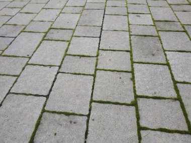 Çakıl taşı dokusu. Kapıda gri kaldırım taşları var. Tasarım boş