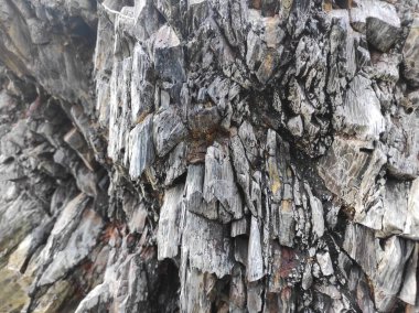 Coğrafi doku fotoğrafı. Toprak ve taşın doğal dokusu. dizayn boş