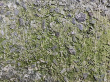 Gri beton doku. Gri doku arkaplanı ve boş