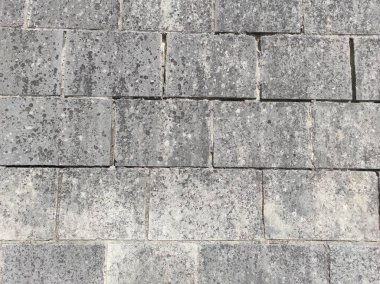 Gri beton doku. Gri doku arkaplanı ve boş