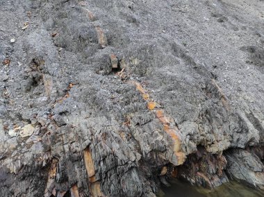 Coğrafi doku fotoğrafı. Toprak ve taşın doğal dokusu. dizayn boş